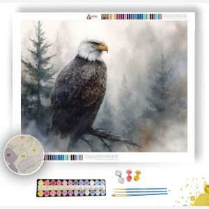 MISTY EAGLE - Paint by Numbers Full Kit
