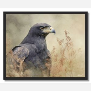 DUSKY EAGLE - FRAMED
