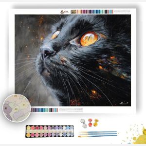 SECRET LANTERN VELVET - Paint by Numbers Full Kit