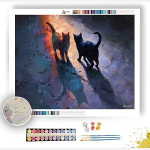 HIDDEN SIGNAL RADIANT - Paint by Numbers Full Kit