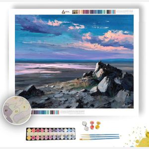 SILVER SIGNAL - Paint by Numbers Full Kit