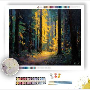 LUMINOUS FRAGMENTS FADING - Paint by Numbers Full Kit