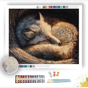 AUREFALL SHELTER TRACE - Paint by Numbers Full Kit