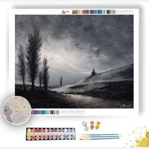 SHADOW DARK DRIFT - Paint by Numbers Full Kit