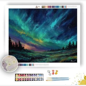 AURORA FIELDS - Paint by Numbers Full Kit