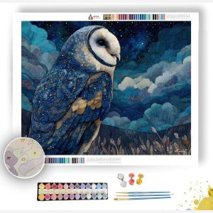 STARRY OWL WATCHER - Paint by Numbers Full Kit