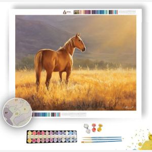 GOLDEN FIELD HORSE - Paint by Numbers Full Kit