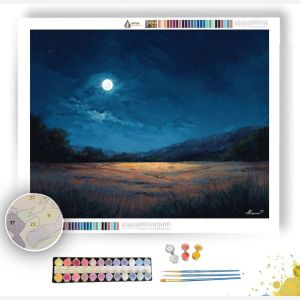 SINGLE MOON FIELD - Paint by Numbers Full Kit