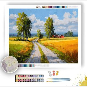 FINNISH COUNTRYSIDE ROAD - Paint by Numbers Full Kit