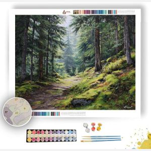 OREGON FOREST PATH - Paint by Numbers Full Kit