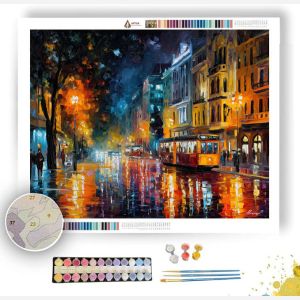 BUENOS AIRES RAIN STREET - Paint by Numbers Full Kit