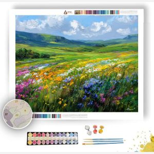 ICELANDIC SUMMER MEADOW - Paint by Numbers Full Kit