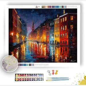 COPENHAGEN RAIN STREET - Paint by Numbers Full Kit