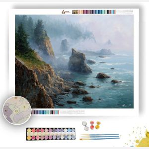 OLYMPIC COAST FOG - Paint by Numbers Full Kit