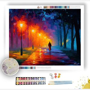 DAWN PATH MONK - Paint by Numbers Full Kit