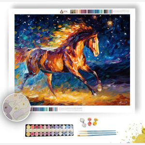 STARCOAT HORSE - Paint by Numbers Full Kit