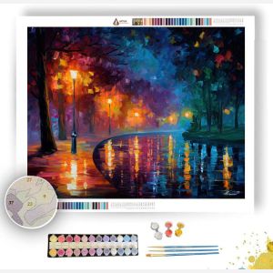 NOCTURNE STILLNESS - Paint by Numbers Full Kit