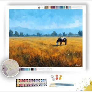 STILL OPEN FIELD - Paint by Numbers Full Kit