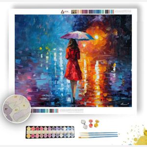 AFTER THE STORM - Paint by Numbers Full Kit
