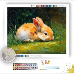 QUIET RABBIT - Paint by Numbers Full Kit