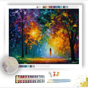 AURA OF SILENCE - Paint by Numbers Full Kit