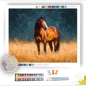 CALM HORSE - Paint by Numbers Full Kit