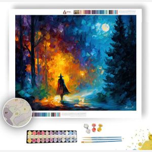 VEILBOUND WANDERER - Paint by Numbers Full Kit