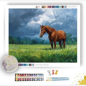 CALM HORSE FIELD - Paint by Numbers Full Kit