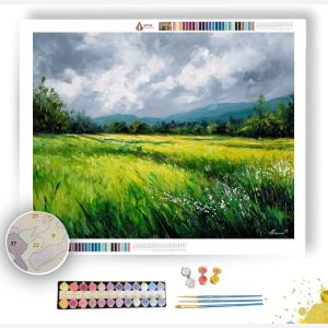 VERDANT SPELLFIELD - Paint by Numbers Full Kit