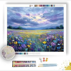 SILVER MEADOW SKY - Paint by Numbers Full Kit