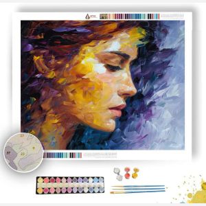 FADING IDENTITY - Paint by Numbers Full Kit