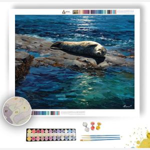 OPEN OPEN HARBOR - Paint by Numbers Full Kit