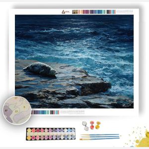 WIDE OPEN EDGE - Paint by Numbers Full Kit