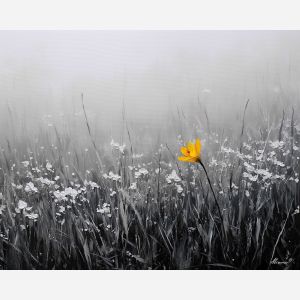 black and white meadow,yellow accent,nature art,oil painting