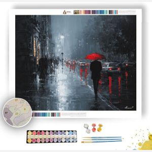 OBSIDIAN RAIN SILHOUETTE - Paint by Numbers Full Kit