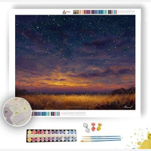 ASTRAL FIELD QUIET - Paint by Numbers Full Kit