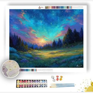 AURORA MEADOW LIGHT - Paint by Numbers Full Kit