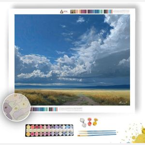 CLOUD DRIFT PLAIN - Paint by Numbers Full Kit