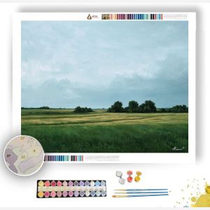 FIELD UNDER PALE SKY - Paint by Numbers Full Kit
