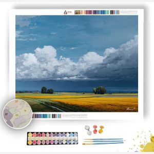 LOW CLOUD FIELD QUIET - Paint by Numbers Full Kit