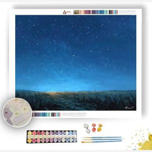 QUIET CONSTELLATION FIELD - Paint by Numbers Full Kit