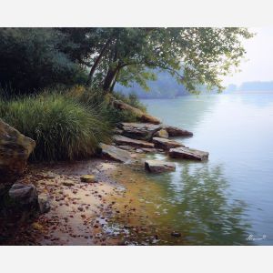 WATERLINE STILL MORNING - Paint by Numbers Full Kit