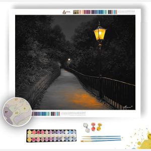 AMBER LANTERN WAY B&W - Paint by Numbers Full Kit
