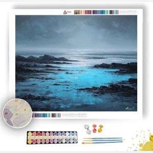 BLUE SHORE CALM B&W - Paint by Numbers Full Kit
