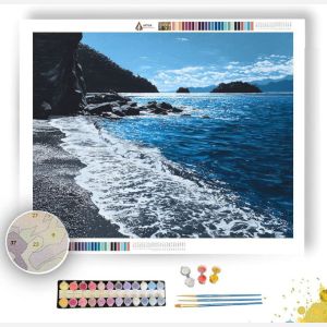 BLUE SHORELINE B&W - Paint by Numbers Full Kit