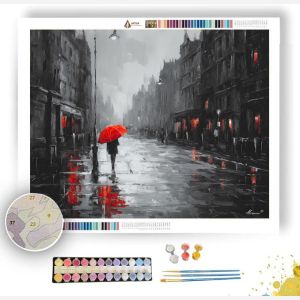 CRIMSON UMBRELLA B&W - Paint by Numbers Full Kit
