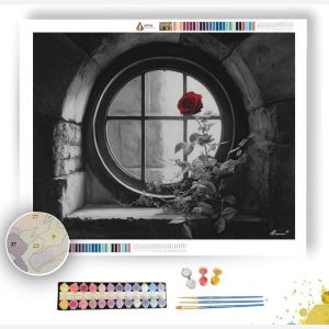 RED ROSE WINDOW B&W - Paint by Numbers Full Kit