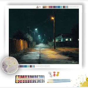LIGHT VEILED - Paint by Numbers Full Kit