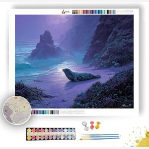 TIDESHARD SEAL COAST - Paint by Numbers Full Kit