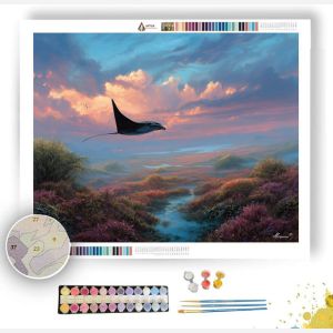 SKYBOUND MANTA FIELDS - Paint by Numbers Full Kit